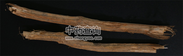 川木通藥材高清