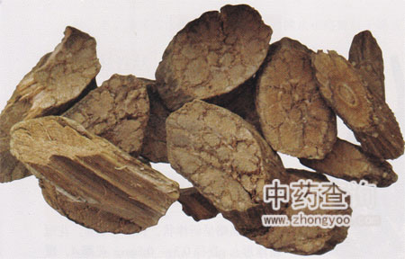 光葉丁公藤飲片