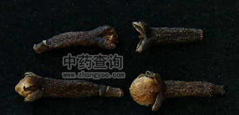 丁香藥材細節(jié)