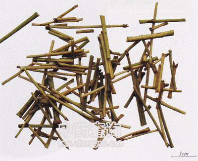 蜜麻黃飲片(木賊麻黃)