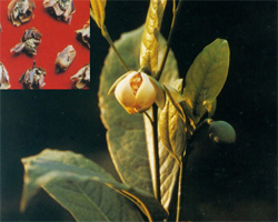 �V�|�Ϛg��