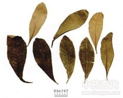 �����~�Ĺ�Ч�c����