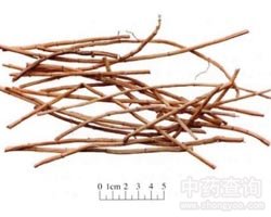 ��é���Ĺ�Ч�c����