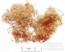 ����Ĺ�Ч�c����