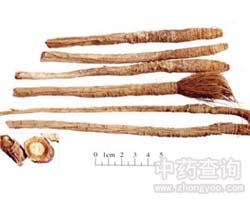 ���L(f��ng)�Ĺ�Ч�c����