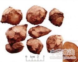 ����ˎ��