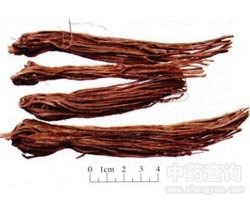 ��đ�Ĺ�Ч�c����