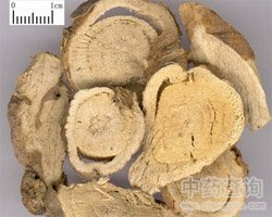 �����Ĺ�Ч�c����