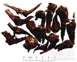 �ݞ��Ĺ�Ч�c����