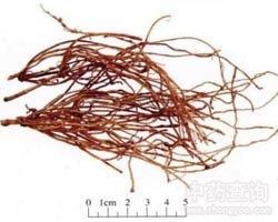 ���L��Ĺ�Ч�c����