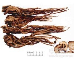 ��ܴ�Ĺ�Ч�c����