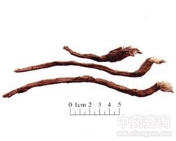 ���^��ˎ��