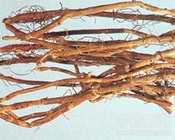 ������ˎ��