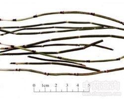 ľ�\�Ĺ�Ч�c����