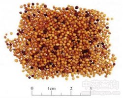 ���ӵĹ�Ч�c����