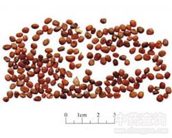 �R���ӵĹ�Ч�c����