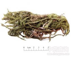 ���ݵĹ�Ч�c����