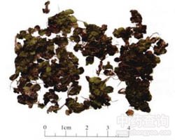 ��Ƽ�Ĺ�Ч�c����