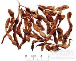 ���ǵĹ�Ч�c����