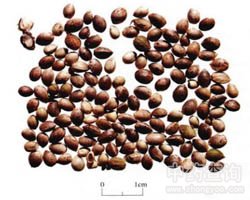 �����ʵĹ�Ч�c����