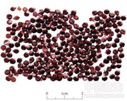 ˮ�t���ӵĹ�Ч�c����