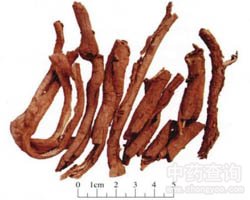 ���Ƥ�Ĺ�Ч�c����