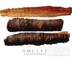 ���R����