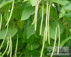 ����(sh��)�DƬ