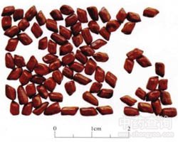 �Q���ӵĹ�Ч�c����