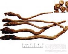 ���{(l��n)��