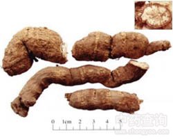 �����Ĺ�Ч�c����