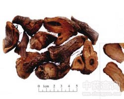 ���ȵĹ�Ч�c����