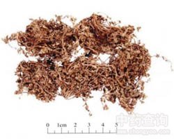 �Z��ʳ�ݵĹ�Ч�c����