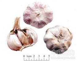 ����Ĺ�Ч�c����