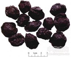 ��÷�Ĺ�Ч�c����