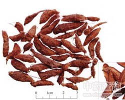 �㸽�Ĺ�Ч�c����