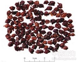 ����ζ�ӵĹ�Ч�c����