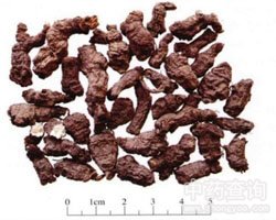 ����ӵĹ�Ч�c����