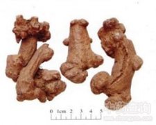 ���g(sh��)