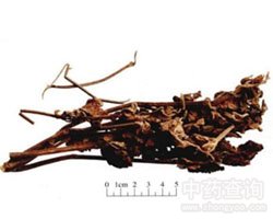 �V޽��Ĺ�Ч�c����