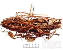 �V���X(qi��n)�ݵĹ�Ч�c����