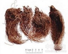 ��(x��)��