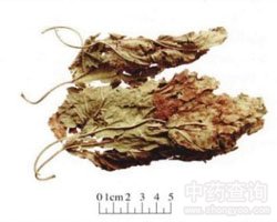 ˎ��ɣ�~�Ĺ�Ч�c����