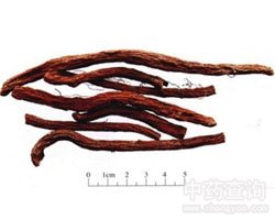 �����Ĺ�Ч�c����