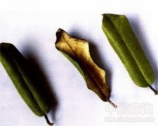 ���j���~