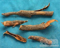 ��ˎ����Ƥ�DƬ