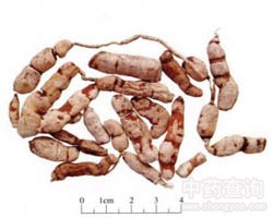 ����Ĺ�Ч�c����