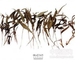 �����~�Ĺ�Ч�c����