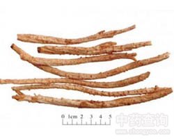 ��ɳ���Ĺ�Ч�c����