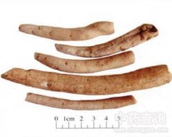 ���ֵĹ�Ч�c����